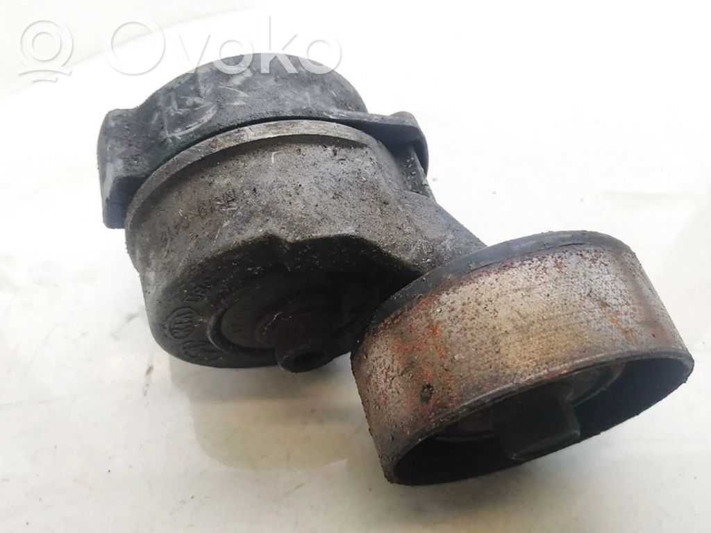 KIA Sorento Întinzător curea generator/alternator 