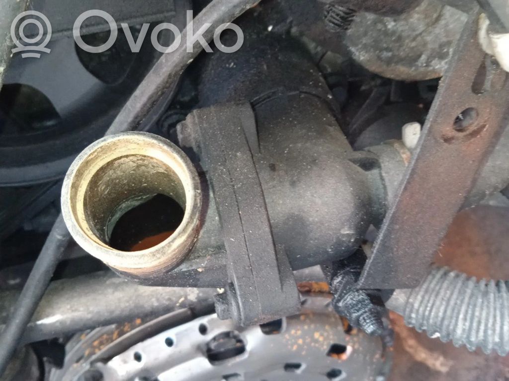Engine coolant pipe/hose