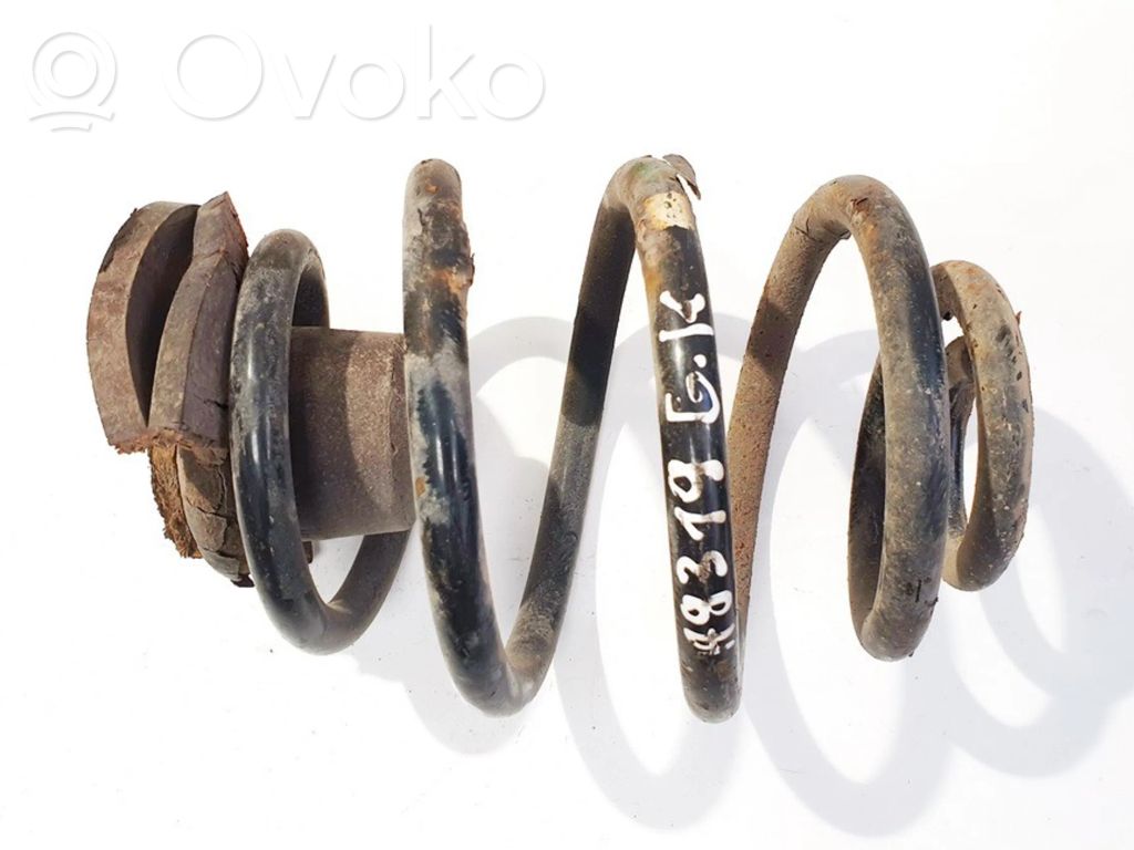 Rear coil spring