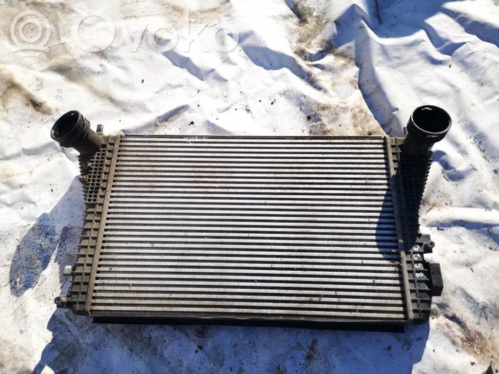 Skoda Octavia Mk2 (1Z) Radiatore intercooler