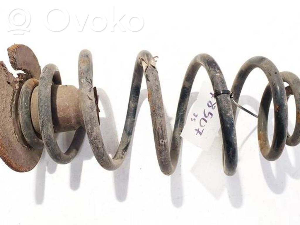 Muelle espiral trasero