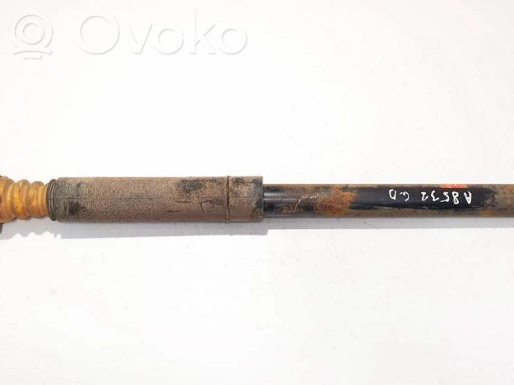 Stoßdämpfer hinten   343419,343419