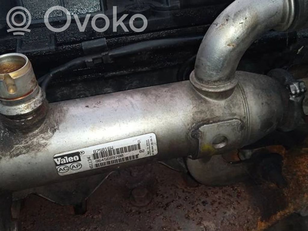 Citroen C4 I Răcitor supapă EGR 