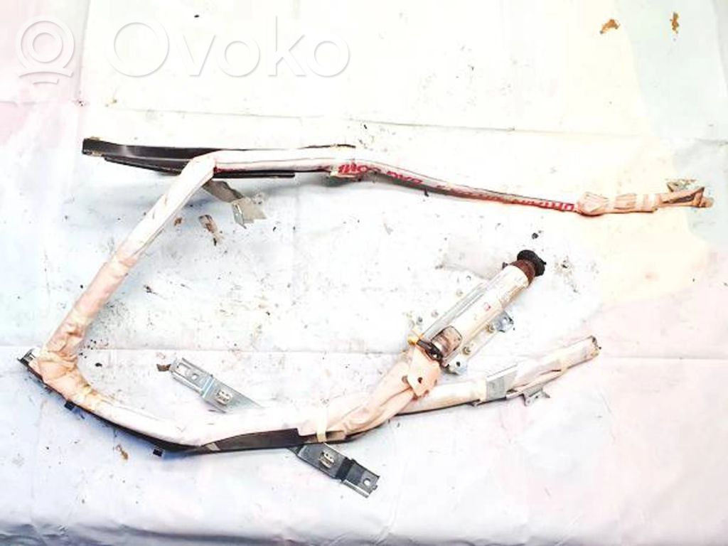 Airbag del techo   305597210AB,305598010,305597210AB,305598010