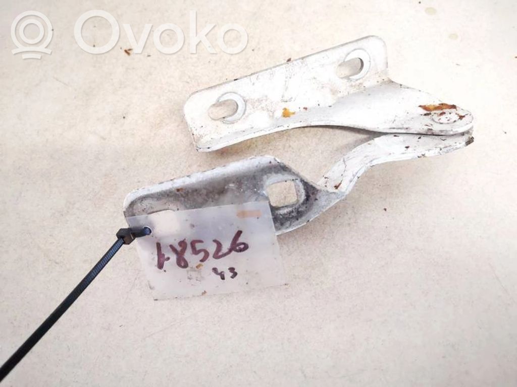 Ford Transit Cerniere del vano motore/cofano