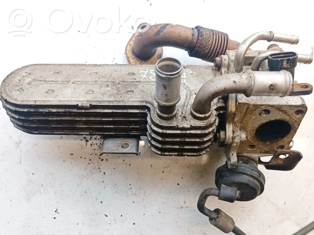 Skoda Octavia Mk2 (1Z) EGR aušintuvas 