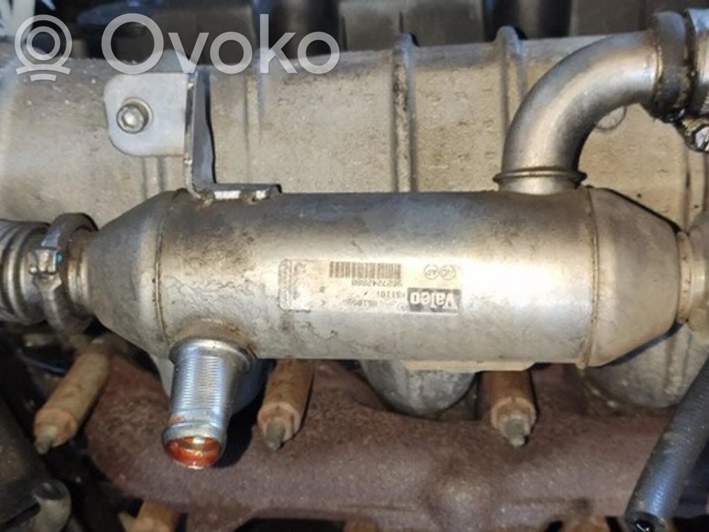 Citroen Xsara Răcitor supapă EGR 
