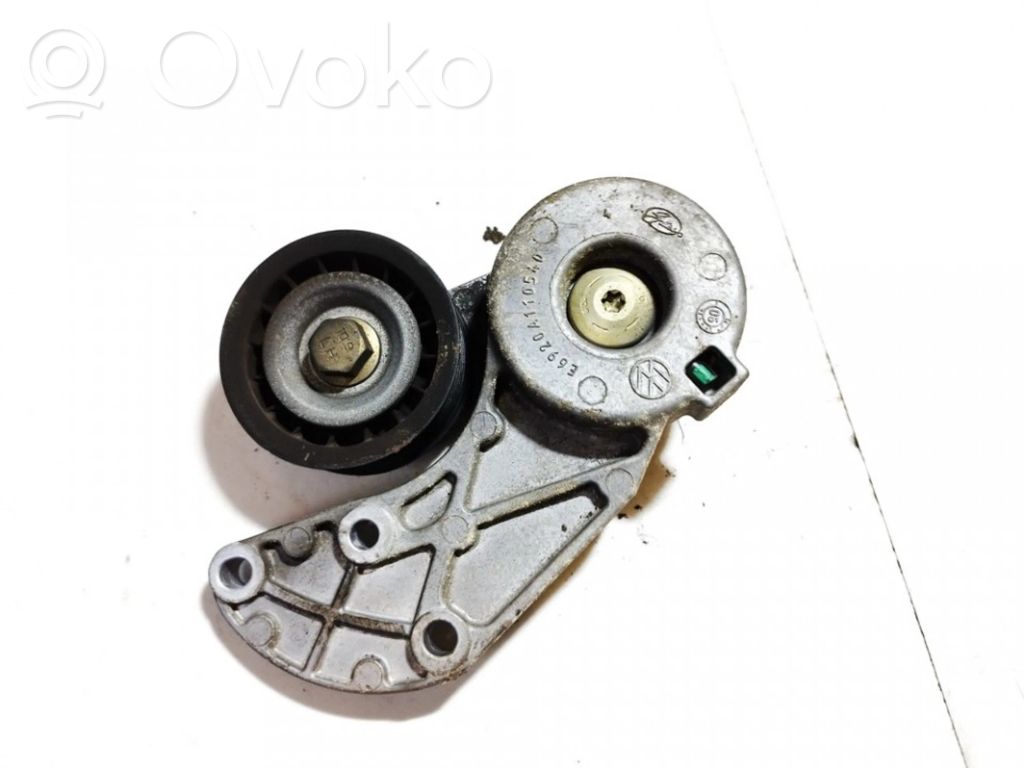Porsche Cayenne (9PA) Napinacz paska alternatora 