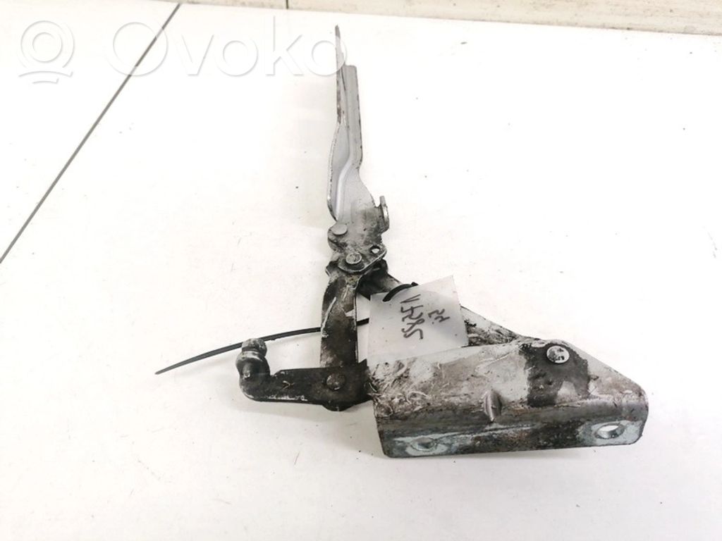 Volkswagen Golf V Cerniere del vano motore/cofano