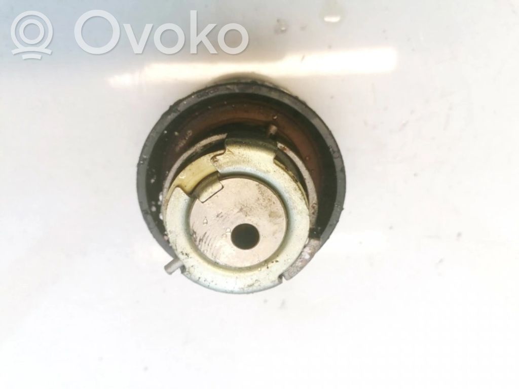 Land Rover Range Rover Sport L320 Koło pasowe napinacza taśmy 
