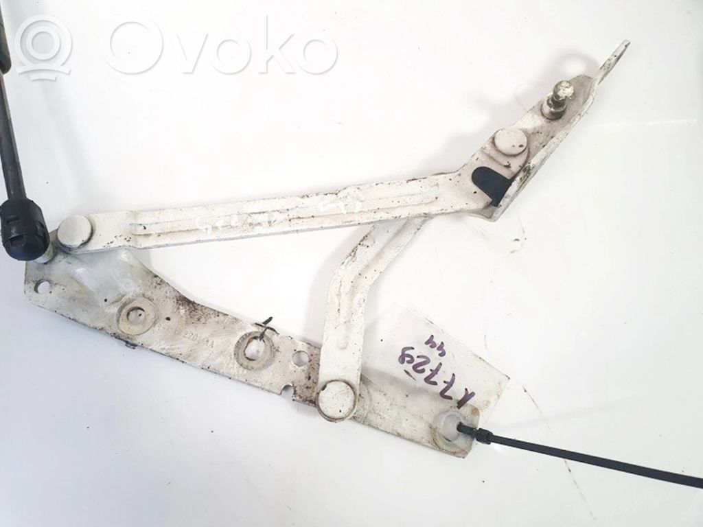 Ford Focus Aizmugurējā pārsega eņģe (-ess) 