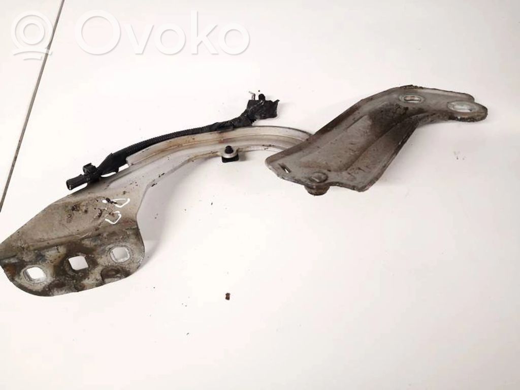 Engine bonnet/hood hinges