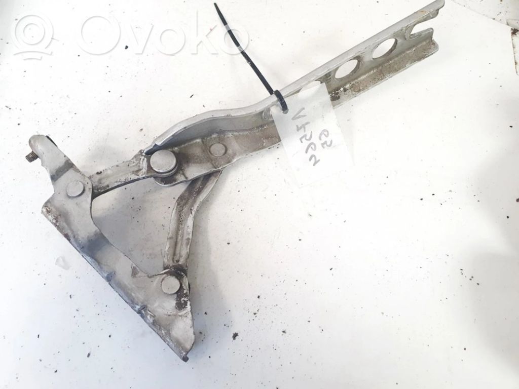 Skoda Octavia Mk2 (1Z) Cerniere del vano motore/cofano 