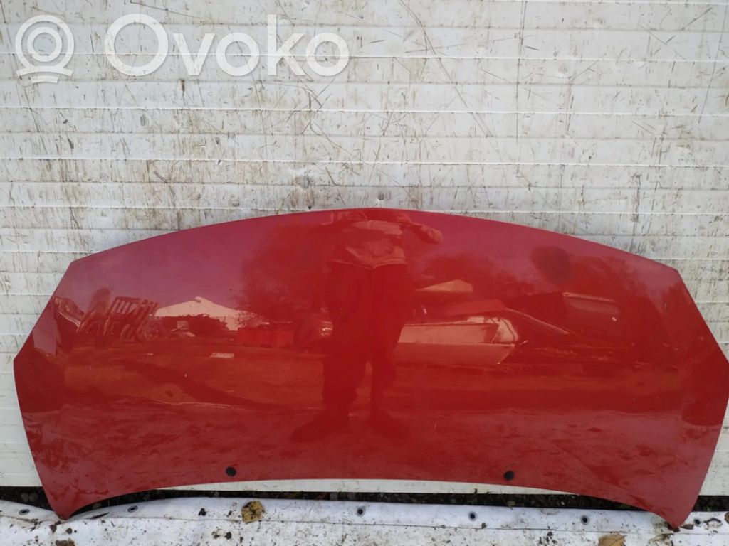 Vano motore/cofano   RAUDONAS,RAUDONAS