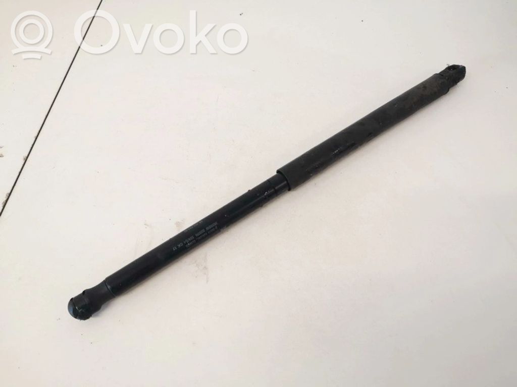 Citroen C2 Konepellin kaasujousi 