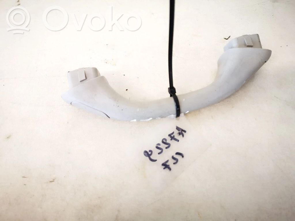Asidero interior trasero   13550,13550