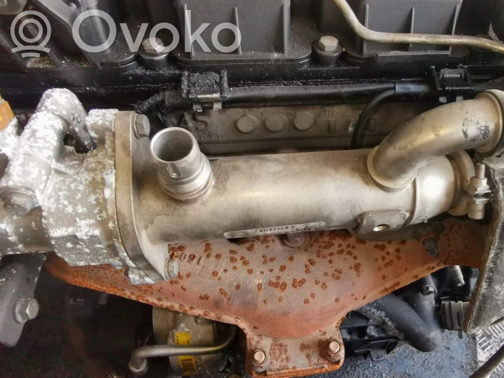 Peugeot 407 Refrigerador de la válvula EGR 