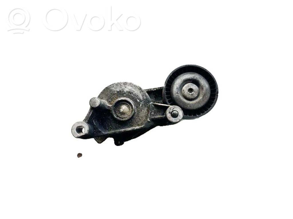 Seat Altea Napinacz paska alternatora 