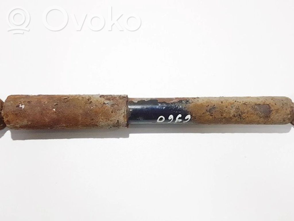 Stoßdämpfer hinten