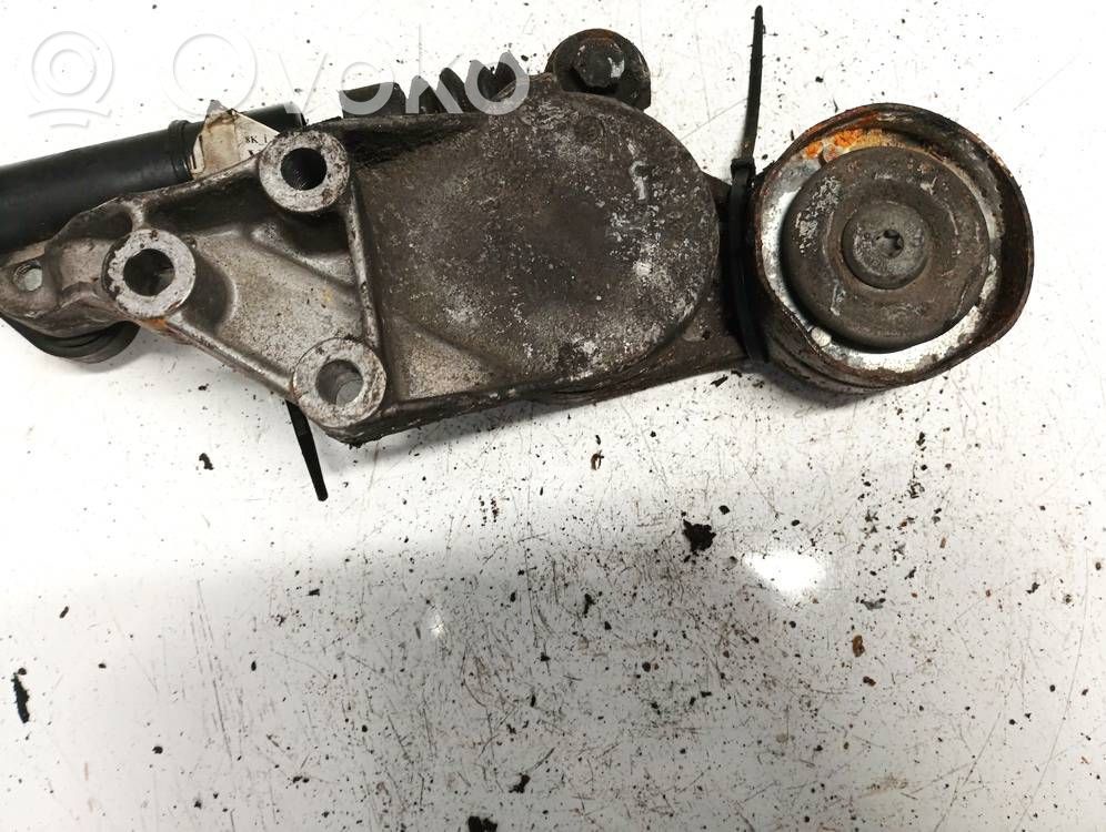 Skoda Octavia Mk1 (1U) Întinzător curea generator/alternator 