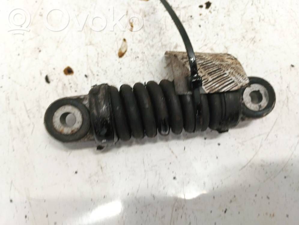 Renault Scenic I Întinzător curea generator/alternator 