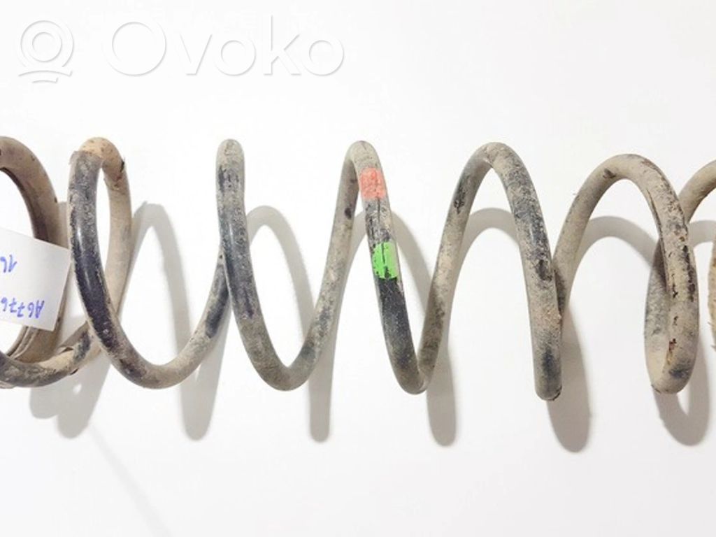 Muelle espiral trasero