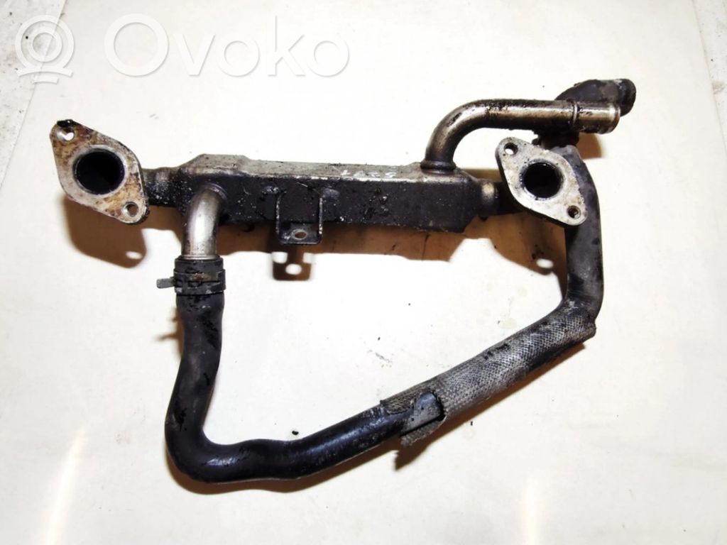 Volkswagen PASSAT B5 Valvola di raffreddamento EGR 