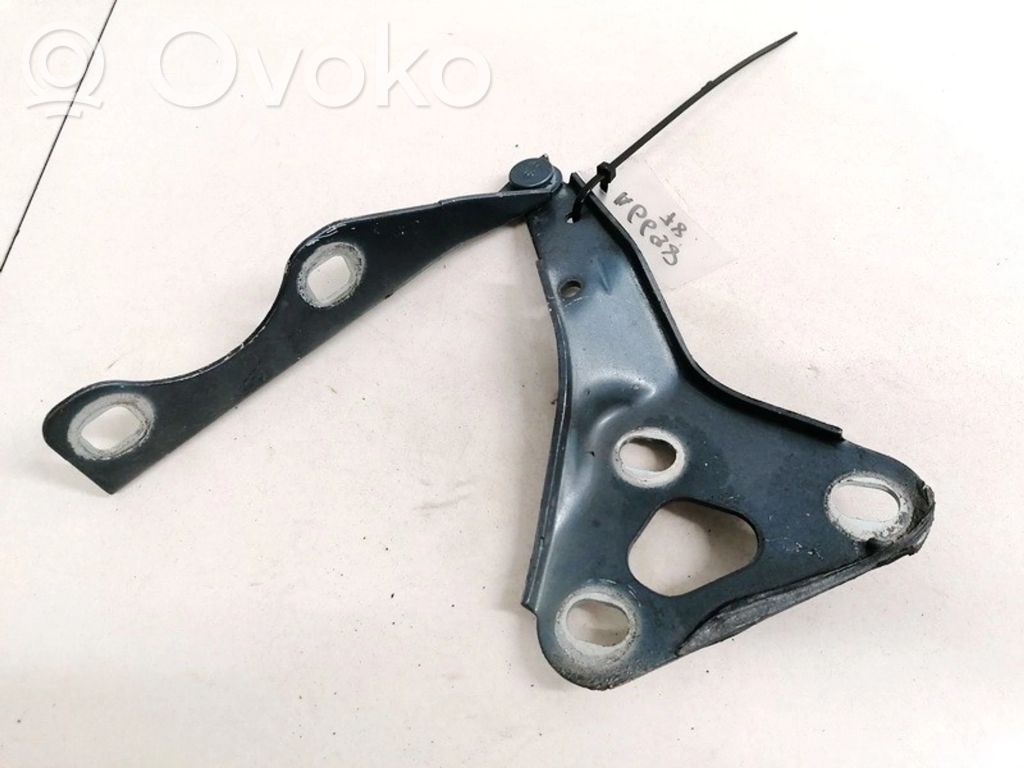 Opel Zafira A Cerniere del vano motore/cofano 