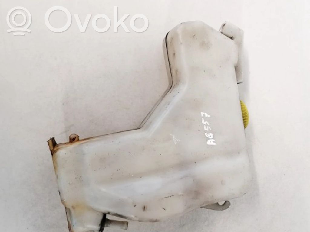Nissan Almera Tino Serbatoio di compensazione del liquido refrigerante/vaschetta 