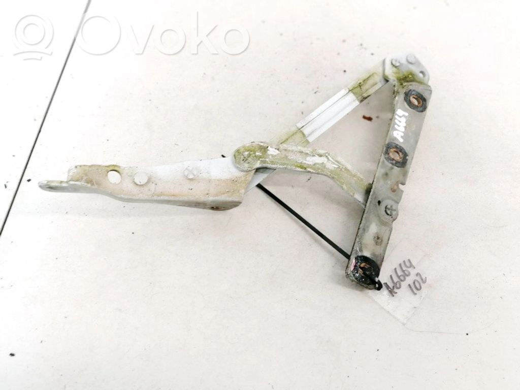 Ford Focus Aizmugurējā pārsega eņģe (-ess) 