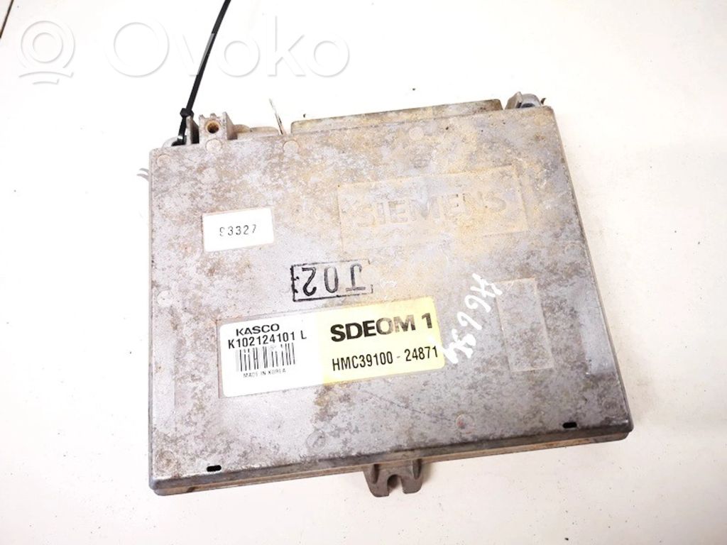 Hyundai Lantra I Engine control unit/module 