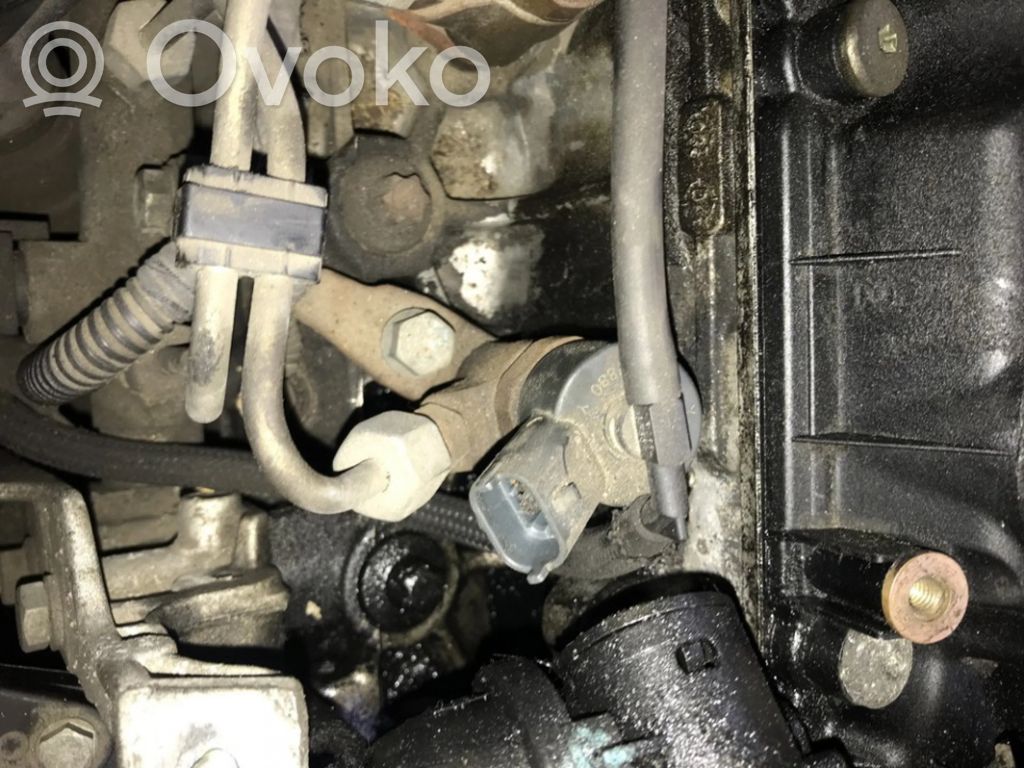 Injector combustibil   9641742880,9641742880