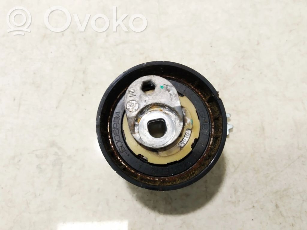 Renault Kadjar Napinacz paska alternatora 