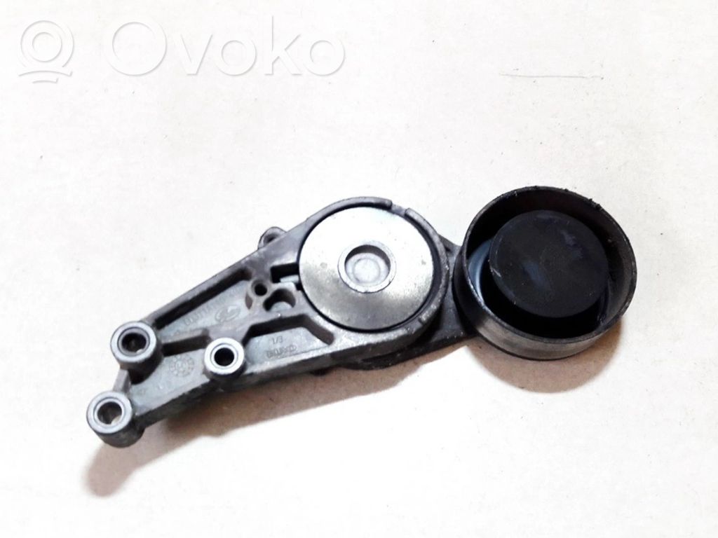 Audi A4 S4 B6 8E 8H Tensor de correa del alternador 