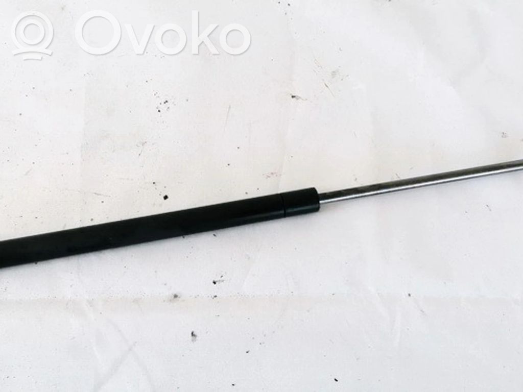 Renault 19 Ammortizzatore portellone posteriore/bagagliaio