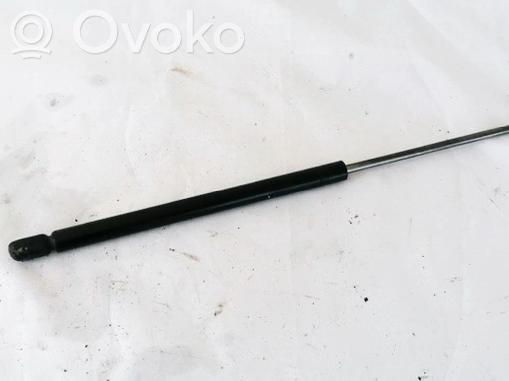 Renault 19 Ammortizzatore portellone posteriore/bagagliaio