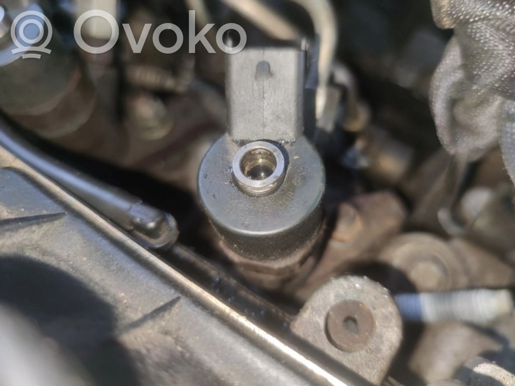 Inyector de combustible   0445110008,9635196580,0445110008,9635196580