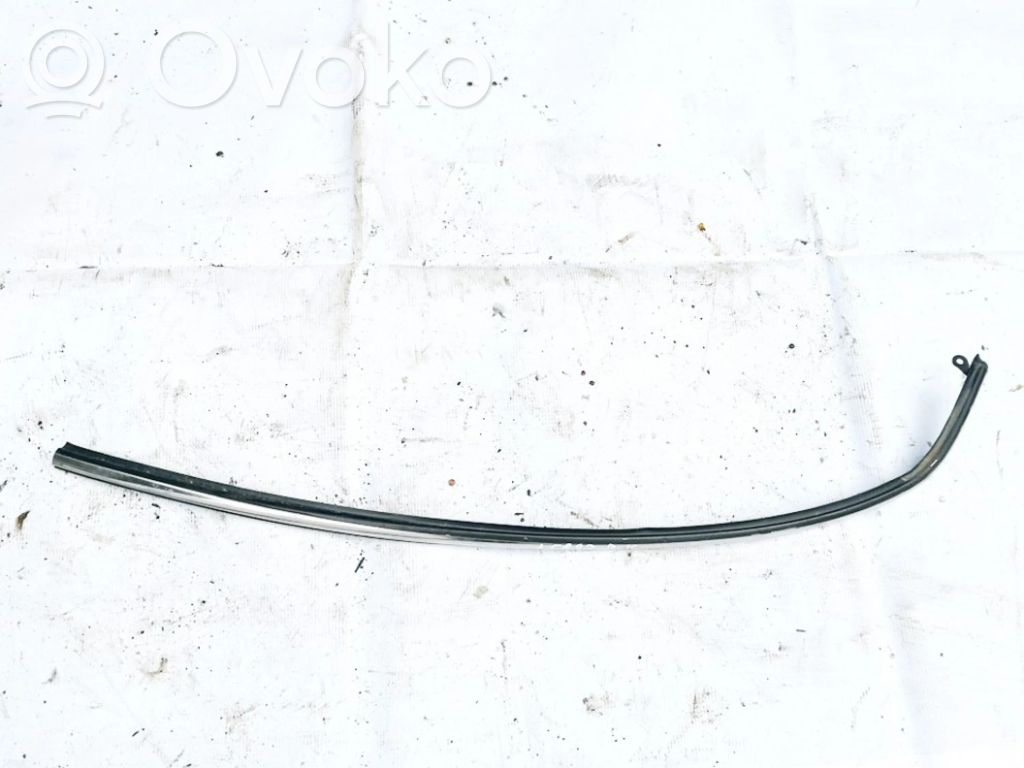 Mini One - Cooper R50 - 53 Ornament geam ușă față 