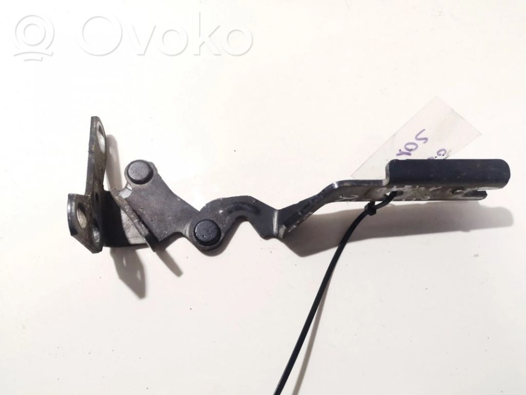 Citroen C5 Balamale capotă 