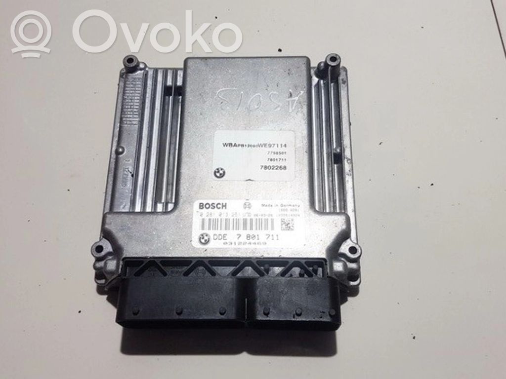 Engine control unit/module   0281013251,7802268,0281013251,031224469,7802268,DDE7801711