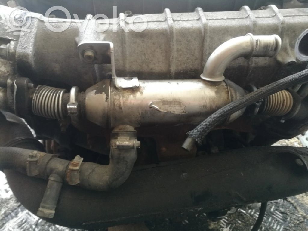 Peugeot 406 Răcitor supapă EGR 