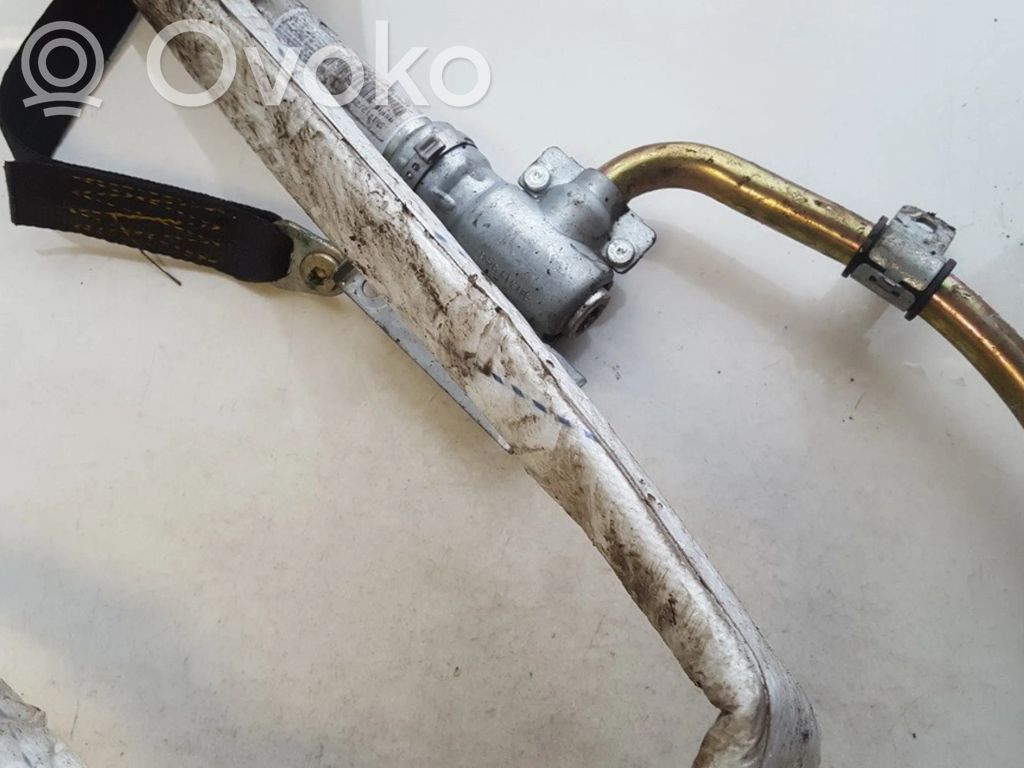 Airbag del techo   303179511,303179511