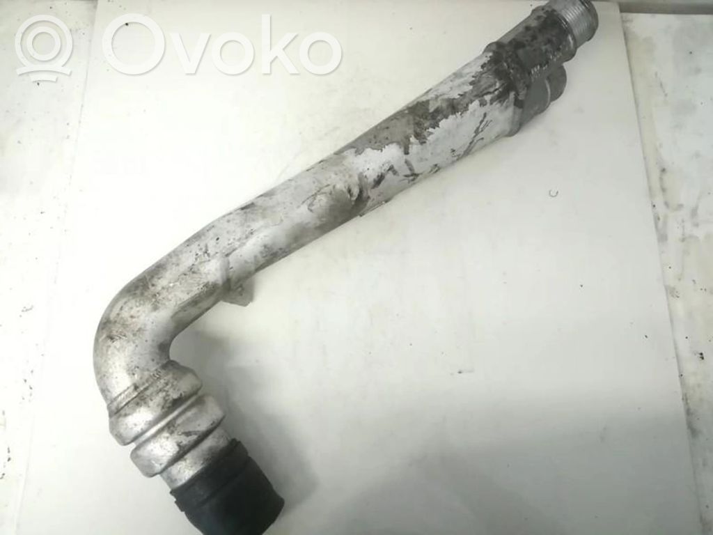 Volkswagen Phaeton Tubo flessibile intercooler 