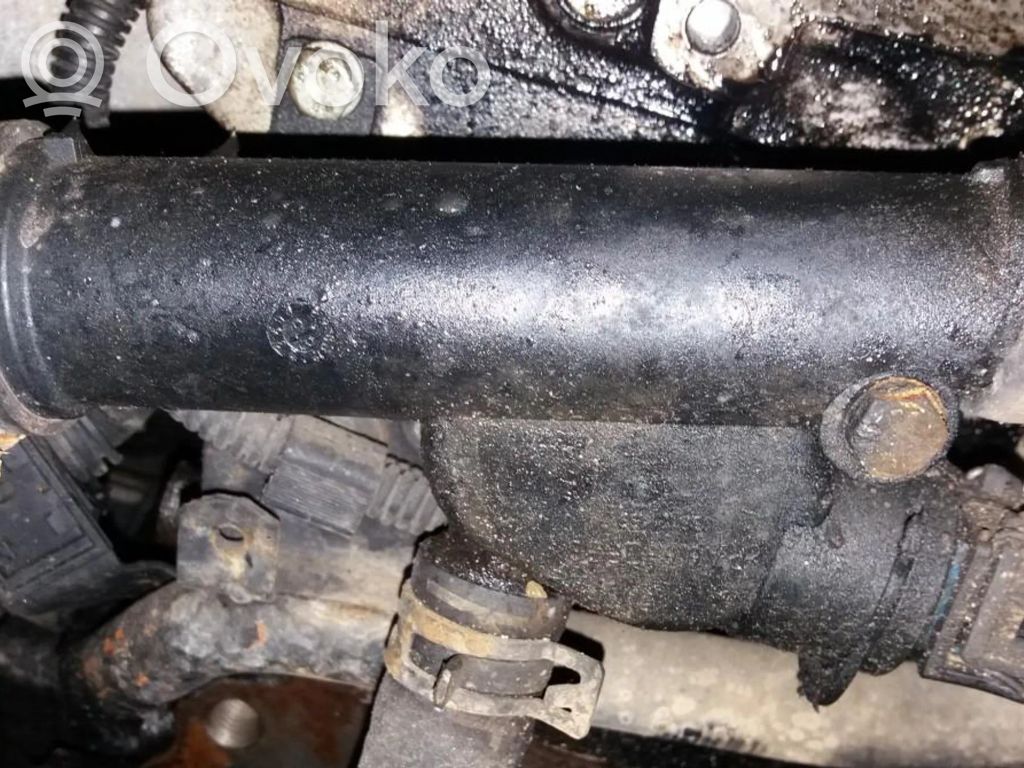Volkswagen Golf IV Tubo flessibile del liquido di raffreddamento del motore