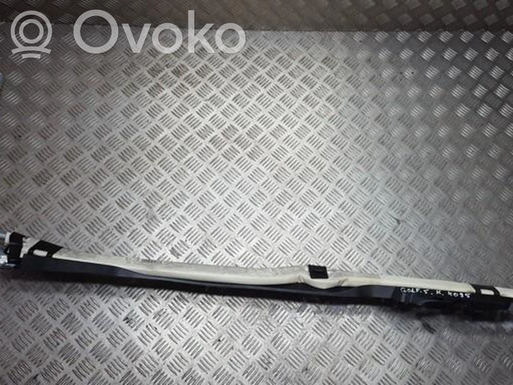 Airbag del techo   1K6880741J,1K6880741J