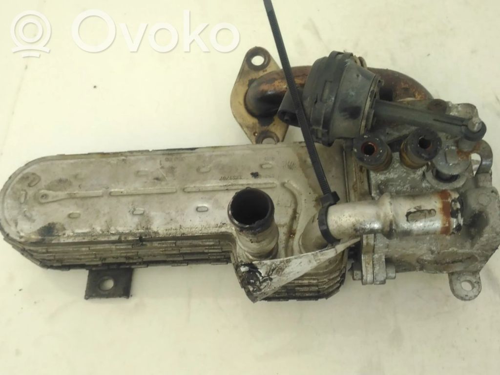 Volkswagen PASSAT B6 Válvula EGR