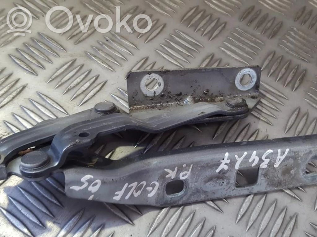 Volkswagen Golf V Balamale capotă 