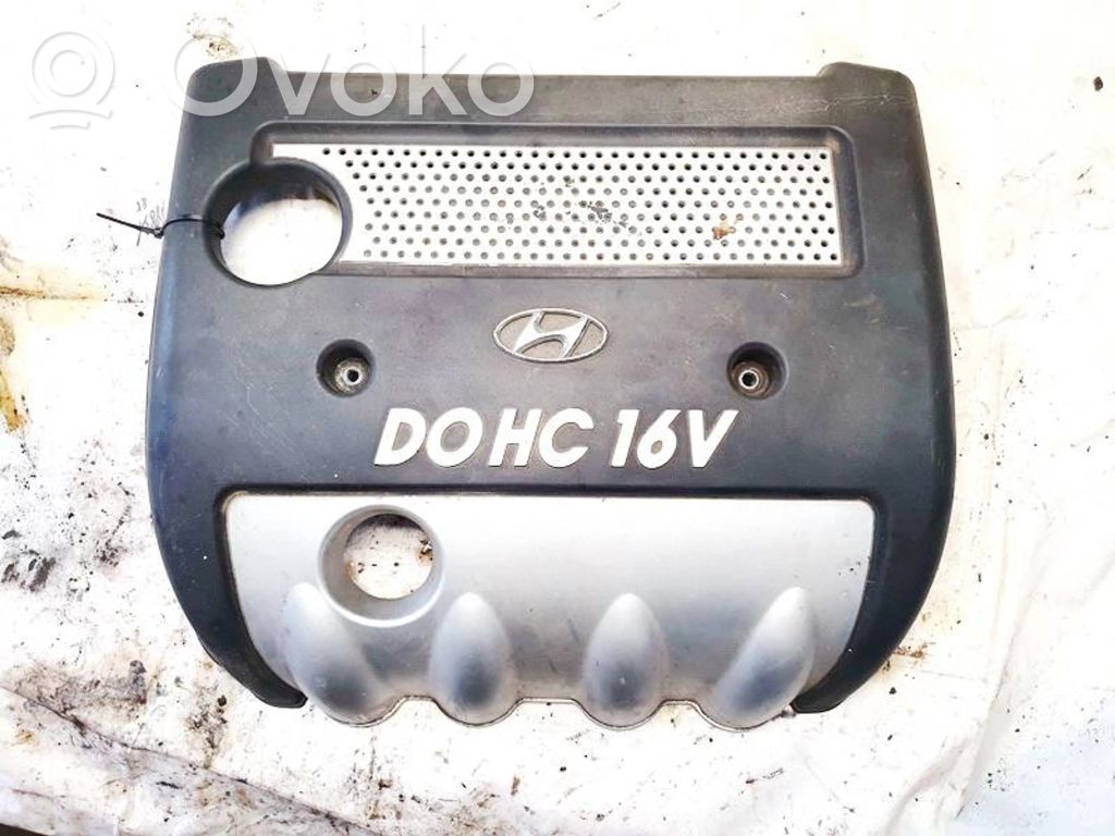 Hyundai Sonata Copri motore (rivestimento) 