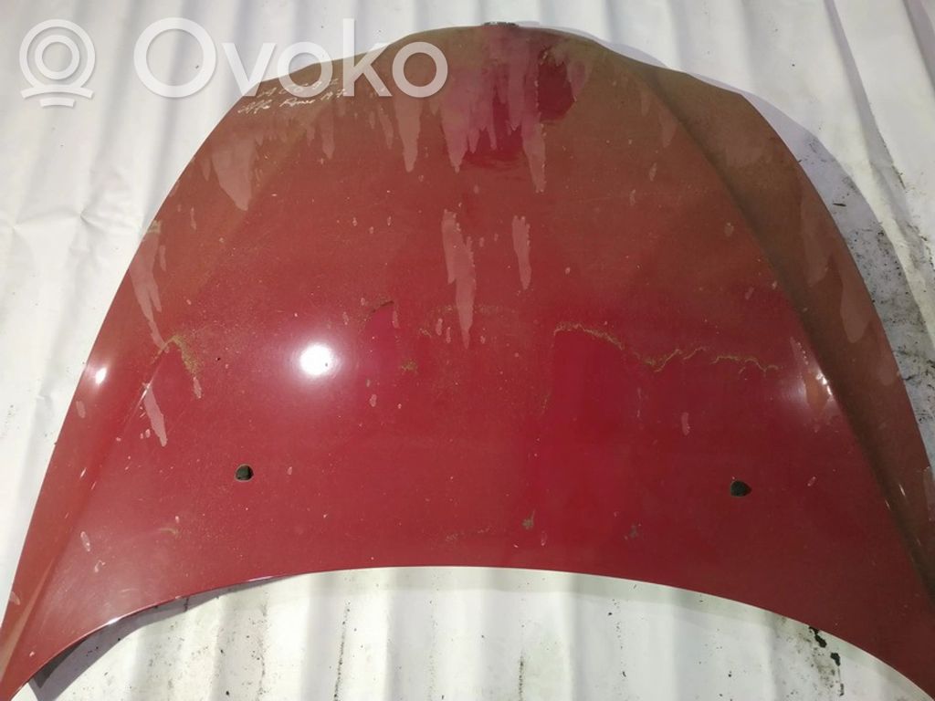 Vano motore/cofano   RAUDONAS,RAUDONAS