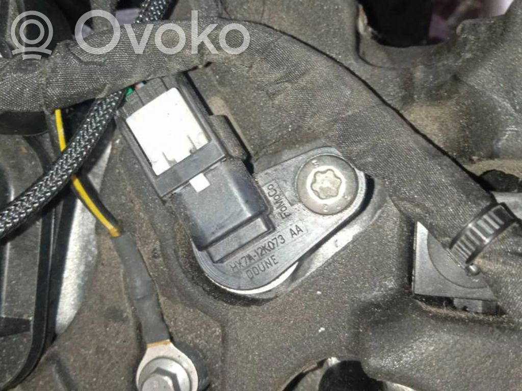 Ford Puma Sensore di posizione albero a camme